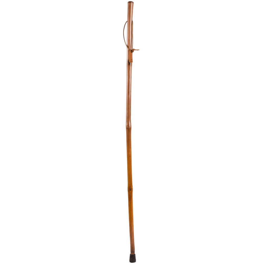 Brazos Walking Sticks Free Form Iron Bamboo Walking Stick, 58in, Red